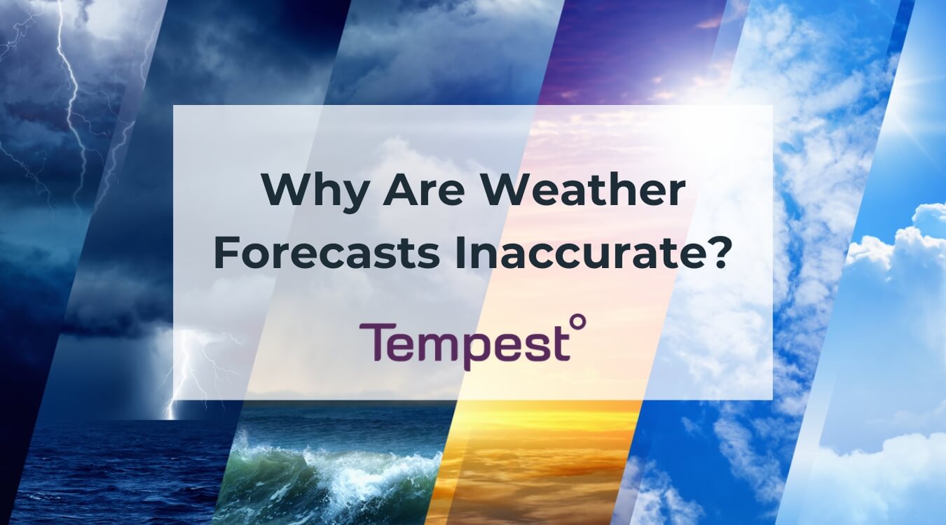 a display of different types of weather that can be predicted in a weather forecast