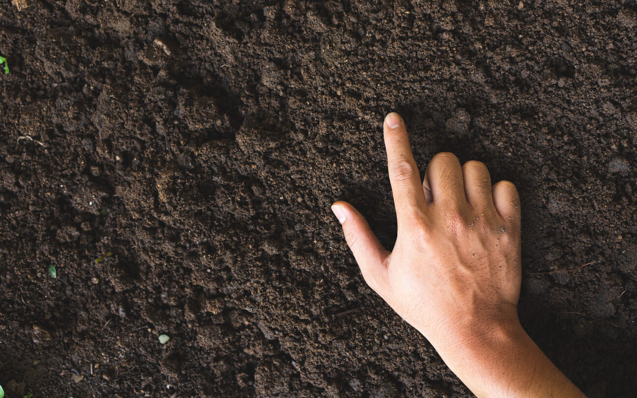 someone putting their finger in soil to check the soil moisture content