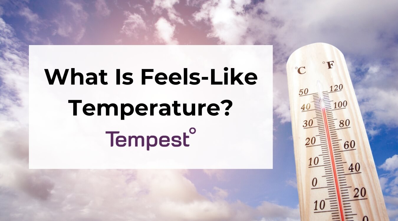 a thermometer showing the temperature of a region but not the feels-like temperature