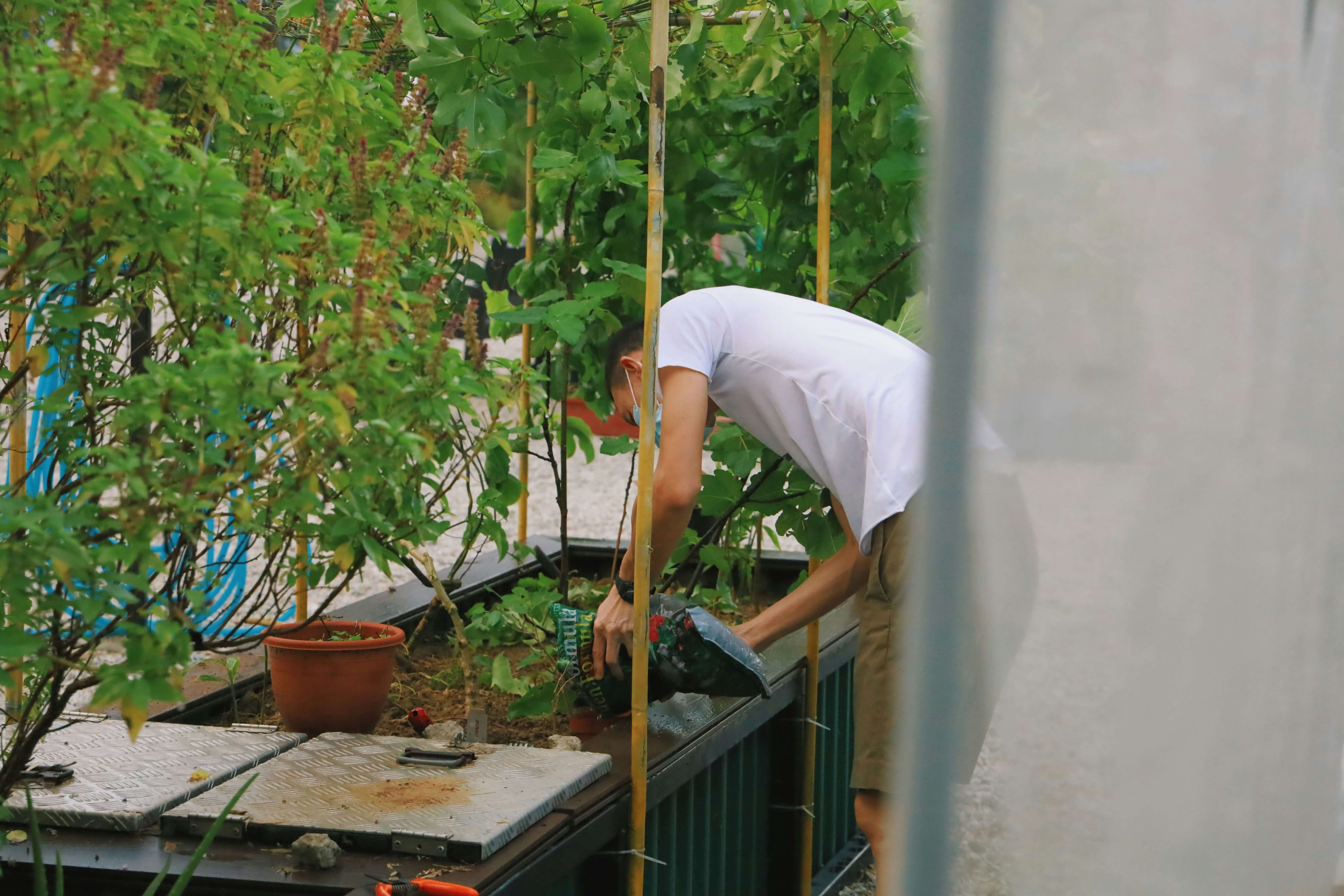 an urban farmer packing in soil